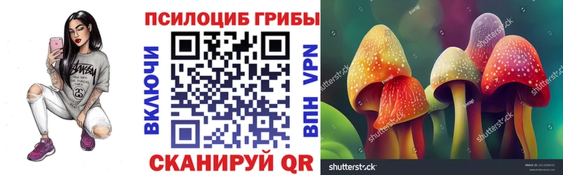 Галлюциногенные грибы прущие грибы  Гудермес 