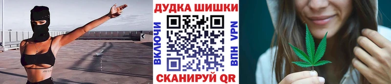 МЕГА как зайти  Гудермес  Конопля план 